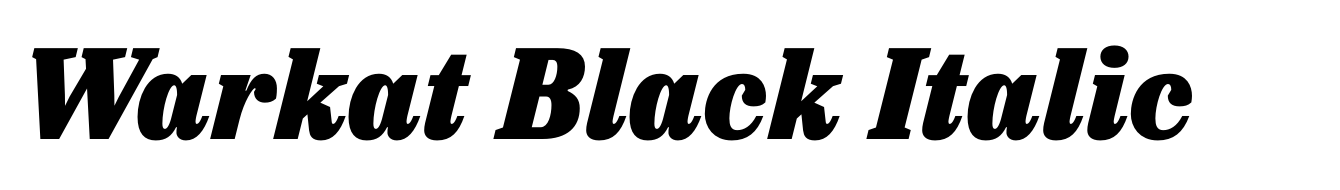 Warkat Black Italic